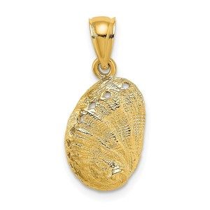 14k Yellow Gold Abalone Shell Charm